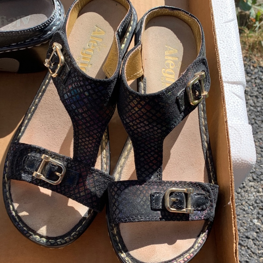 Alegria Iridescent Black Sandals with Gold Buckles